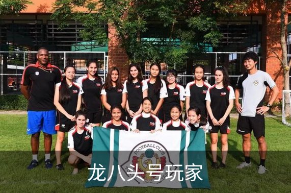 龙八头号玩家简介